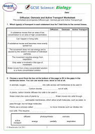 Diffusion Osmosis And Active Transport Worksheet Osmosis Science Notebook Rubric Cell Transport