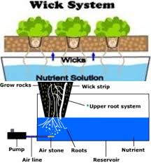 Or other absorbent material can alleviate drying problems…absorbent material wicks. Hydroponics Wick System For Beginners Gardening Tips