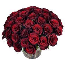 Check spelling or type a new query. Heavenly Hand Tied Red Rose Bouquet Flowerstalk Of London