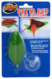 Betta Hammock Stores I Went To Didn T Have On So I Bought A Silk Aquarium Plant For His Tank And Plucked One Big Leaf O Betta Fish Toys Betta Betta