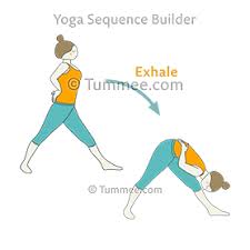 Pyramid Pose Flow Yoga Parsvottanasana Vinyasa Yoga Sequences Benefits Variations And Sanskrit Pronunciation Tummee Com Yoga Sequences Yoga Yoga Flow Sequence
