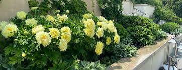 Lime helps maintain a proper soil ph level. Landscaping Installation Hardscaping Tree Removal Services More Cincinnati Oh