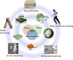 Michael tan loong peng (ph.d, ceng, mieee, miet, miem, aae, myset) b.eng. Fabrication And Application Of Biocompatible Nanogenerators Sciencedirect