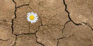 Hábitos de las personas resilientes. El Camino A La Resiliencia Revista Vive
