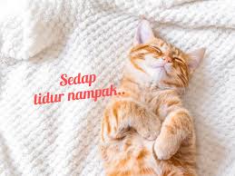 Mengikut perkiraan, dalam jam 9 pagi ke atas. Tidur Selepas Subuh Hingga Zuhur Semasa Puasa Pkp Pu Amin Jelas Hukumnya Remaja