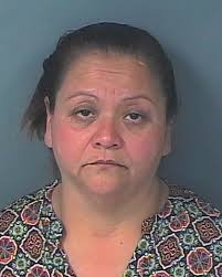 HCSO Arrests Public Records Results