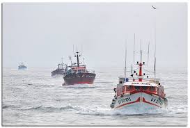 Finistere Sud Tous Les Messages Sur Finistere Sud Page 2 Perspectives Finistere Sud Finistere Traduction En Francais