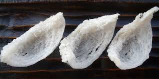 See more of khasiat sarang burung walit on facebook. Seluk Beluk Bisnis Sarang Burung Walet Yang Menggiurkan Kinasa Net