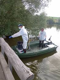 La sary porn Cerca video porno italiani di La sary ass con