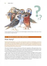 Cyberflix has uploaded 1328 photos to flickr. Barn Owls Evolution And Ecology Lanius Books