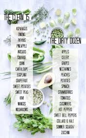 Mix together 2 cups cold water, ½ cup white vinegar and 2 tablespoons lemon juice Diy Fruit And Veggie Wash Spray And Soak Jenni Raincloud