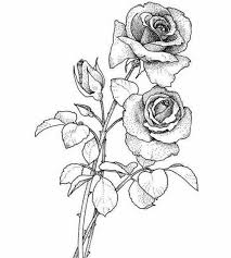 Blue ink wild rose vector photo free trial bigstock. 40 Rose Tattoo No Stem
