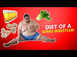 Videos Matching Wrestling Diet Secret Doodhi Best Food