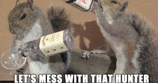 Pin By Alaina Nunez On Hunting Hunting Humor Squirrel Funny Funny Hunting Pics