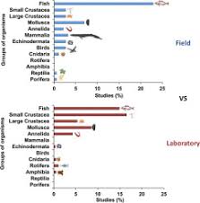 Studies Of The Effects Of Microplastics On Aquatic Organisms