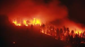 Another vacant house fire in surrey. Bc Forest Fires 2012 Wildfire Comparison Over Last 5 Years Huffpost Canada British Columbia