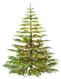 Get it as soon as wed, apr 28. Amazon Com Barcana 9 Foot Noble Fir Ready Trim Christmas Tree With 800 Clear Mini Lights Balsam Fir Christmas Tree Noble Fir Christmas Tree Christmas Tree