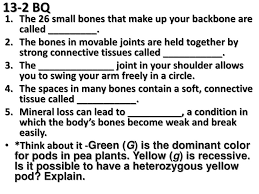 12 bones of the leg tibia  shin bone  attaches to the talus (ankle) and the femur fibula  lateral (outside) bone  bottom helps make up your ankle warm up 1/20 1. 13 2 Bq The 26 Small Bones That Make Up Your Backbone Are Called Think About It Green G Is The Dominant Color For Pods In Pea Plants Yellow Ppt Download