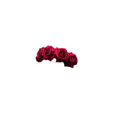 Pink Flower Crown Transparent Google Search Transparent Flowers Pink Flower Crown Flower Crown