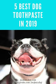 You Brush Your Own Teeth As Part Of Good Oral Hygiene But Dogs Need Their Teeth Brushed Too Here Are My 5 Top Picks For Dog Toothpaste Best Oral Oral Hygiene