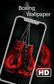 If you're looking for the best boxing wallpaper then wallpapertag is the place to be. Boxing Wallpapers Hd For Android Apk Download