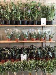 Maison Bouture Avis Aux Lyonnais La Boutique Maison Facebook