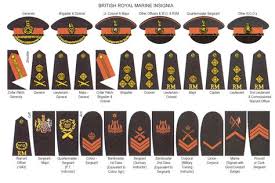 British Royal Marine Insignia Royal Marines Ranks Royal Marines British Royal Marines