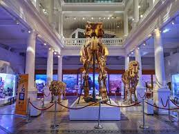 Corina Matei On Twitter Muzeim Prin BucureÈ™ti Muzeul NaÈ›ional De Istorie NaturalÄƒ Grigore Antipa Https T Co 8ospxfmsts