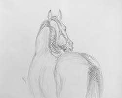 Orignial Horse Artwork Nicolae Art Equine Artist Nicole Smith Graphite Pencil Sketch 8x10 Horse Drawings Equine Art Pencil Drawings Horse Sketch