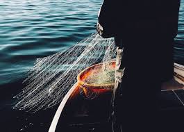 Fischerei In Spandau Visit Spandau