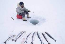 Pin On Arctic Tribes