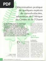 Image result for Pseudocalyx ochraceus