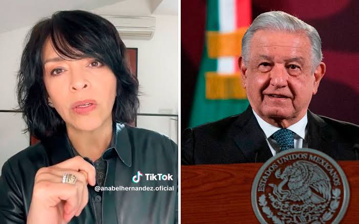Anabel Hernández acusa a AMLO de sacar 'raja política' a noticia falsa de  atentado en su contra | Video | Aristegui Noticias