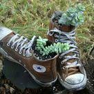 Alte Schuhe Bepflanzen Ideen Fur Originelle Pflanzgefasse Im Garten Alte Schuhe Pflanzen Schuhe