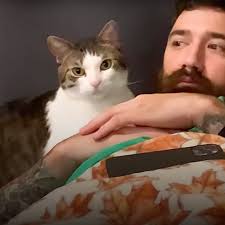 Cat Named Roswell Steals Rescuer's Man 'Til She Finds the 'Cheat Code'