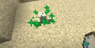 Sea turtles hatch from eggs. 3 Things To Do If Turtle Eggs Not Hatching In Minecraft West Games