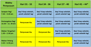 Kemudahan mengepam susu di waktu pejabat. Bila Patut Mula Perah Susu Mithali Moms