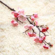 Pin On Blumen