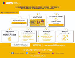 Cómo inscribirse al bono de protección familiar? Bonos De Desarrollo Humano Y De Proteccion Familiar Se Pagaran Cumpliendo Protocolos De Proteccion Sanitaria