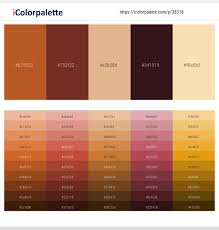 Check spelling or type a new query. Desert Metallic Copper Gold Sand Tamarind Dairy Cream Color Scheme Icolorpalette