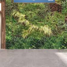 Ltd operates the akcia.idealsystem.am website, which provides the service. Imex Group Cvent
