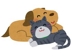 仲良しの犬と猫のイラスト | かわいいフリー素材集 いらすとや