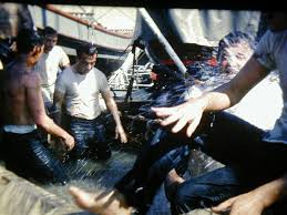 Image result for Dyna Brown 1967 Fleet