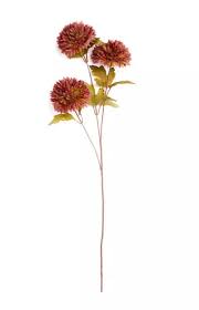 The format is png with transparent background, 300 dpi. Single Stem Flowers From 2 Penneys Style In The City Facebook