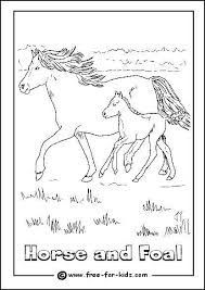 Can the kids colour him in and make him look even prettier ready for chinese new year? Horse Colouring Pages Www Free For Kids Com