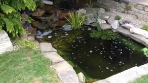 From building a water feature like a bubbling fountain to building a fish pond with a large waterfall, these are all the resources you'll need to build your own pond. How To Build A Natural Looking Garden Fish Pond With Waterfall Youtube