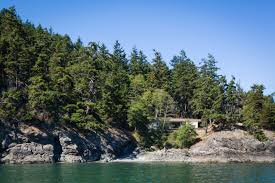 Maybe you would like to learn more about one of these? Heliotrope Architects Designs A Shingle Clad Cabin On Orcas Island Ignant