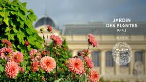 The lovely jardin des plantes in paris is the perfect place to enjoy the simple pleasures that only a beautiful garden can offer. Jardin Des Plantes Museum Paris France Facebook 9 Reviews 1 989 Photos