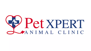 Hotels near avian reconditioning center. Veterinarian In Apopka Fl Pet Xpert Animal Clinic