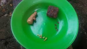 Salah satu jenis rempah ini mempunyai manfaat buat perkutut seperti menghilangkan dahak, memperkuat nafas, menguatkan pita suara, mengatasi radang, dan masih banyak lagi. Ramuan Terasi Buat Penggacor Perkutut Youtube